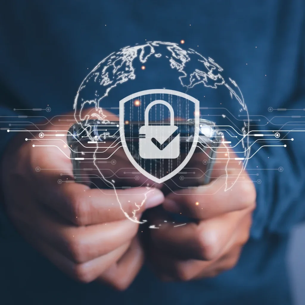 Cómo Proteger tu Privacidad Online en Argentina: Guía Profesional 2025